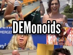 Dirty filthy DEMonoids™